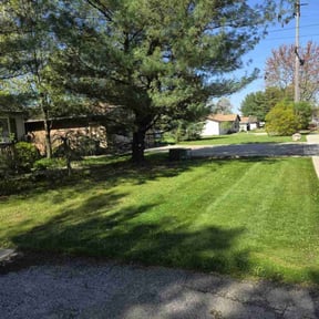 grass cutting by USA Lawncare Inc reviewed on August 23, 2024