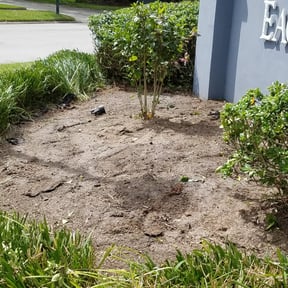 Flower Bed Weeding by Abel Baeza reviewed on August 19, 2025