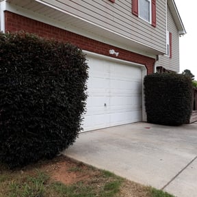 Bush Trimming by Jacks Clean Cuts & services LLC reviewed on August 18, 2025