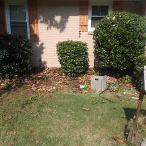 Bush Trimming by Long Lasting Lawn Care reviewed on August 18, 2025