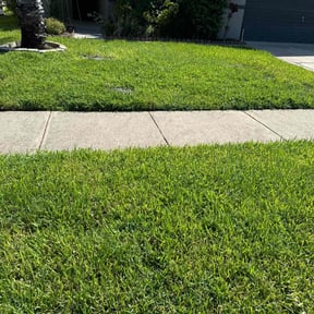 yard service by SunnySide Servicing reviewed on August 18, 2025