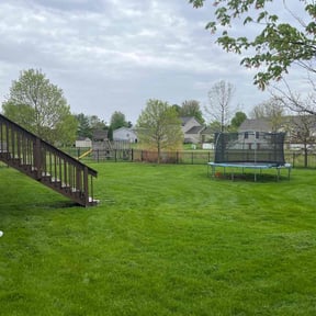 yard service by Zeroslandscape reviewed on August 18, 2025