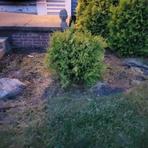Flower Bed Weeding by M & F Landscaping Services LLC reviewed on August 17, 2025
