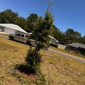 Bush Trimming by AMERICA'S BEST LAWN SERVICE LLC reviewed on August 20, 2025
