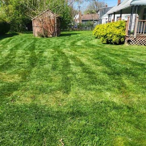 Bush Trimming by Tony's Lawn and Plowing Services reviewed on April 26, 2026