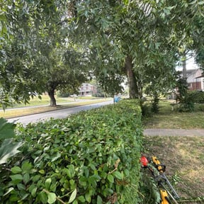 Bush Trimming by G&amp;M Landscaping Services reviewed on November 23, 2025