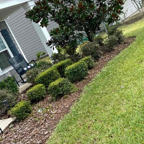 Bush Trimming by Trevor  Hall reviewed on October 20, 2025