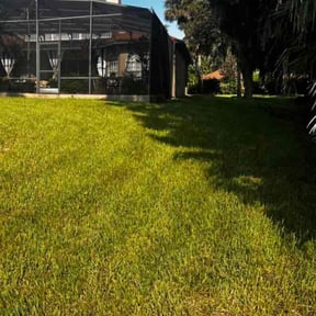 yard care by RC Lawn Care LLC reviewed on January 8, 2026