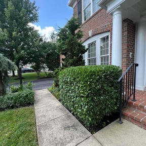 Bush Trimming by Cobbs Construction, LLC reviewed on August 13, 2025