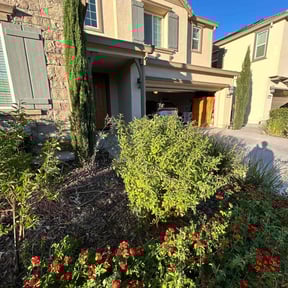 Bush Trimming by Nextdoor Lawn Services LLC reviewed on August 21, 2025