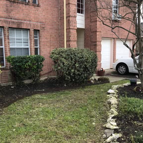 turf care by Mowr reviewed on May 14, 2024