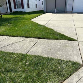 yard service by Diligence reviewed on August 19, 2025