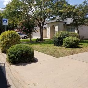 Bush Trimming by Farris Lawn Care reviewed on August 18, 2025