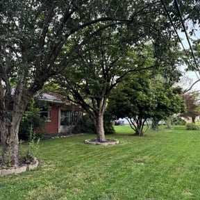 lawn care services by Etown Odd Jobs reviewed on April 23, 2025