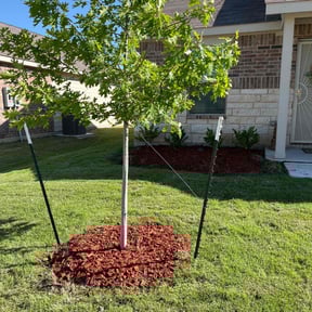 Mulching by JohnRobert Lawn&Garden reviewed on August 21, 2025