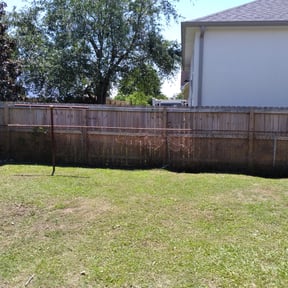 Bush Trimming by H. J. CornerStone reviewed on August 18, 2023