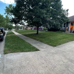 yard service by Precise Lines Lawn Care reviewed on August 4, 2021