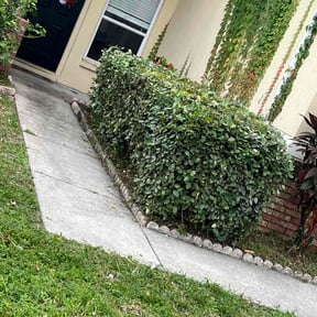 Bush Trimming by LEVEL UP LAWNCARE LLC reviewed on November 19, 2025