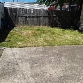 Bush Trimming by Frederickson Lawn Management reviewed on November 10, 2025