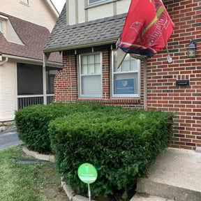 Bush Trimming by Escobar lawn care service reviewed on August 19, 2025
