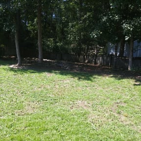 Flower Bed Weeding by Frazier Lawn Care reviewed on June 4, 2025