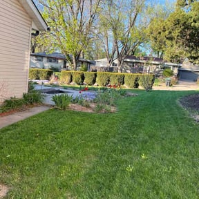 yard work by CH Lawn Service reviewed on August 19, 2025