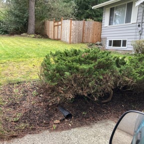 Leaf Removal by Ines lawnscaping reviewed on September 8, 2025