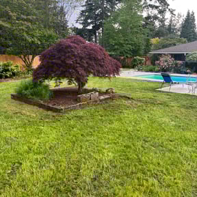 gardening service by Andrew James Property Maintenance reviewed on August 19, 2025
