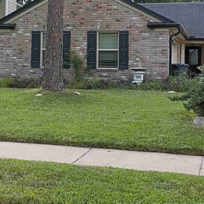 residential landscaping by Bush wackers reviewed on August 15, 2025