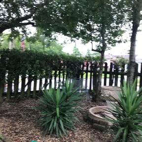 Bush Trimming by A cut above reviewed on August 16, 2025
