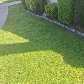yard work by Reginald Jackson reviewed on August 15, 2025