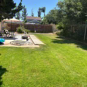 turf maintenance by Crystal Hathaway reviewed on May 17, 2024