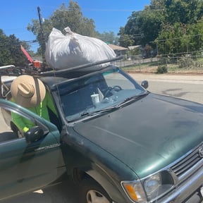 Bush Trimming by Shaggy cuts,INC reviewed on August 15, 2025