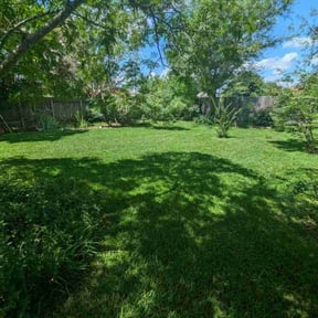 landscape maintenance by Flawless Exterior Services reviewed on January 1, 2026