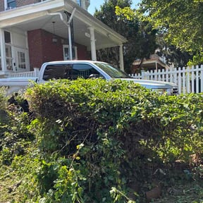 Bush Trimming by On Point Lawn Care reviewed on June 30, 2026
