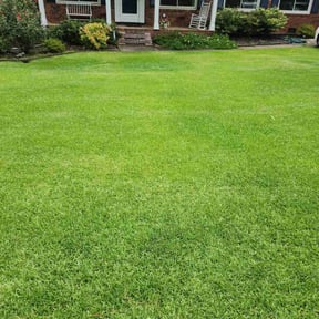 turf care by Dutch Fork Lawn Care reviewed on August 29, 2024