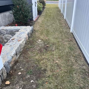 Leaf Removal by D &amp; R reviewed on November 19, 2025