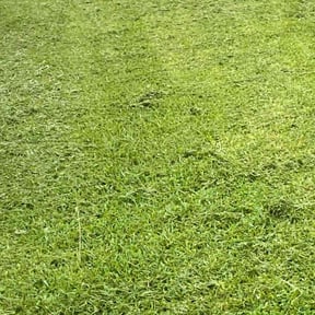 lawn service by Contreras Outdoors reviewed on May 3, 2024
