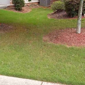 Bush Trimming by Merriweather&#039;s Lawn Care reviewed on June 10, 2022