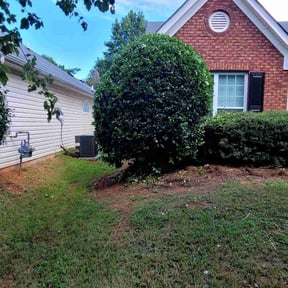 Bush Trimming by JH Custom Landscaping reviewed on October 20, 2025