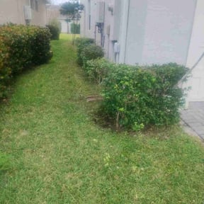 Bush Trimming by Reil Lawn Company LLC reviewed on April 12, 2022
