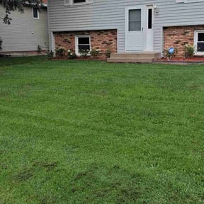 yard service by Pollard Landscaping reviewed on August 15, 2025