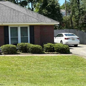 Bush Trimming by Allison Mowing reviewed on July 2, 2026