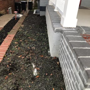 Flower Bed Weeding by Blue Mountain Landscaping Co. (RUSHPOINT MAINTENANCE GROUP) reviewed on August 19, 2025