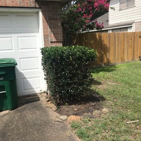 Bush Trimming by P&F Lawn Sevices LLC reviewed on August 20, 2025
