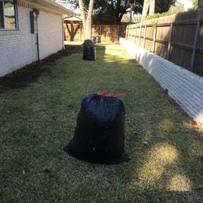 Leaf Removal by Cardinal lawn and landscaping services reviewed on September 30, 2025