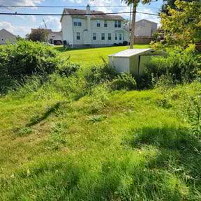 Bush Trimming by J&L Lawn care reviewed on August 17, 2025