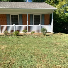 Bush Trimming by Teals Turf Renovations reviewed on August 15, 2025