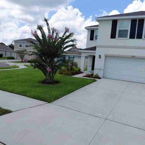 yard work by Elenas Lawn Care LLC reviewed on August 21, 2025