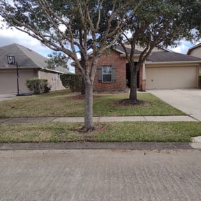 Bush Trimming by Hargett lawn services reviewed on October 21, 2025